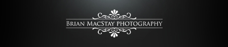 Premier San Francisco & Napa Wedding Photographer logo