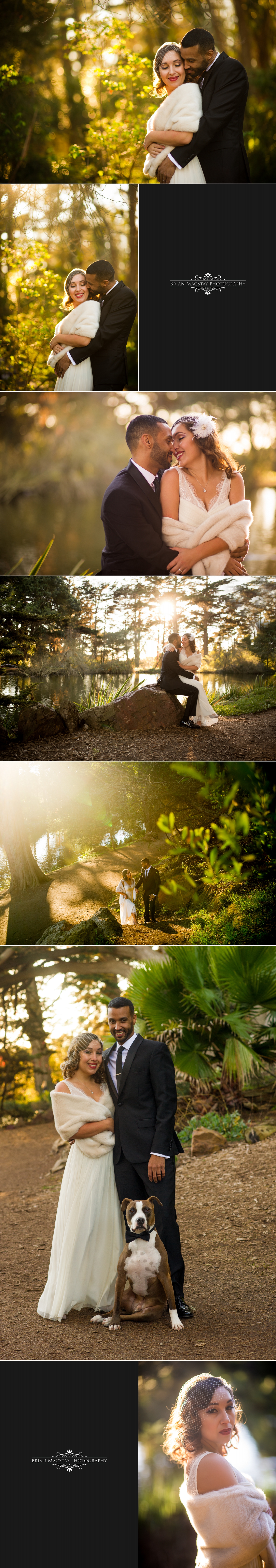 Wedding Photos at Stow Lake in San Francisco 1