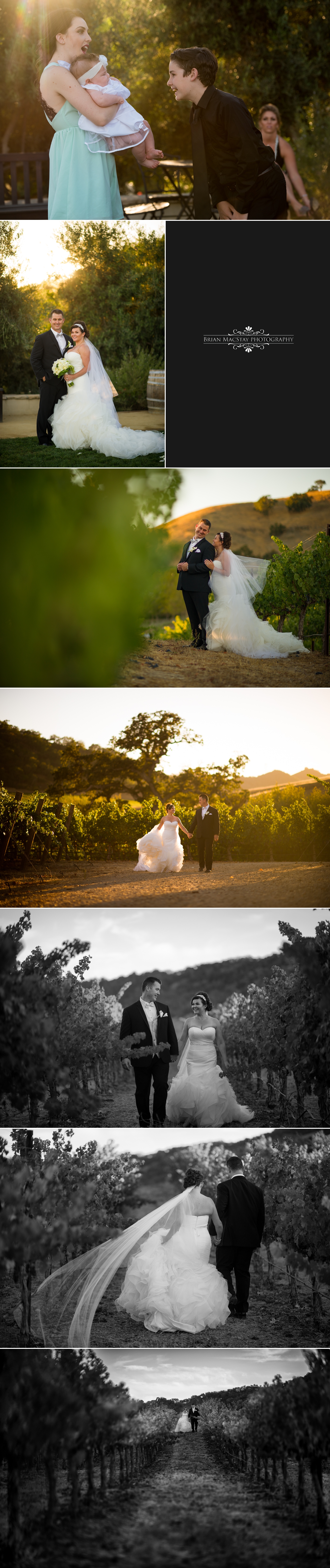Wedding Photos at Clos LaChance Winery 6