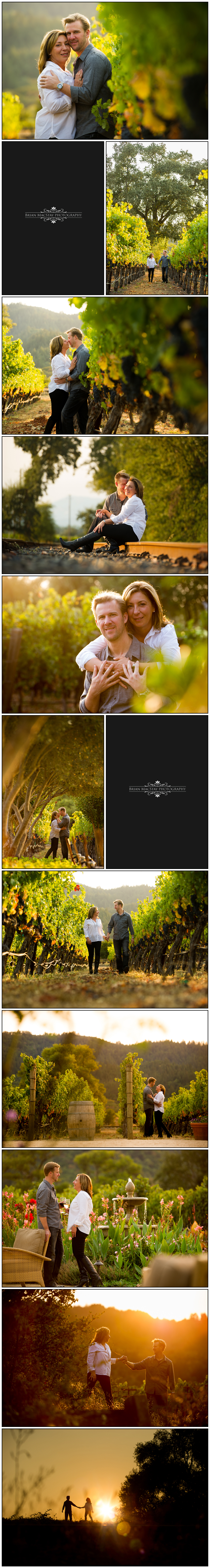 Brix Resturant and Garden Engagement Photos