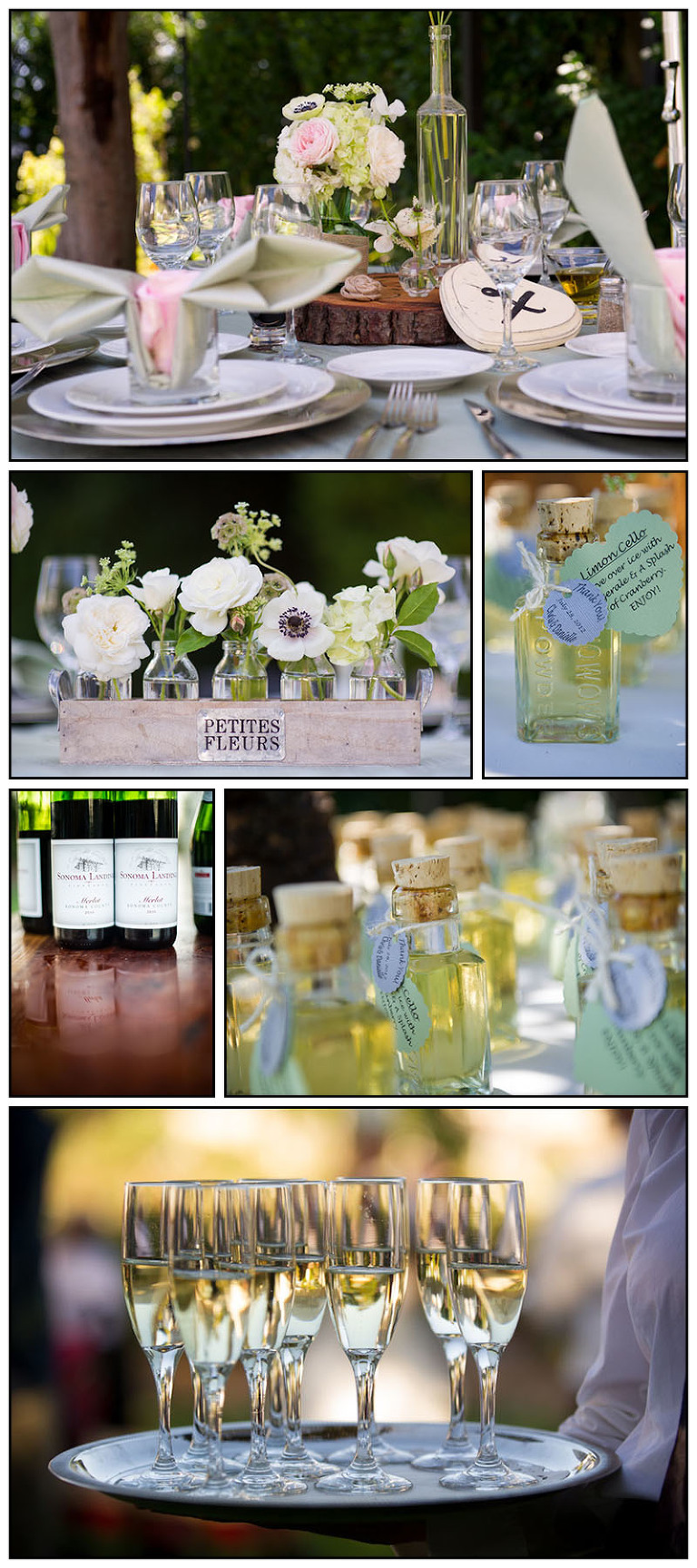 Chris and Danielle's Wedding details at the Garden Valley Ranch in Petaluma