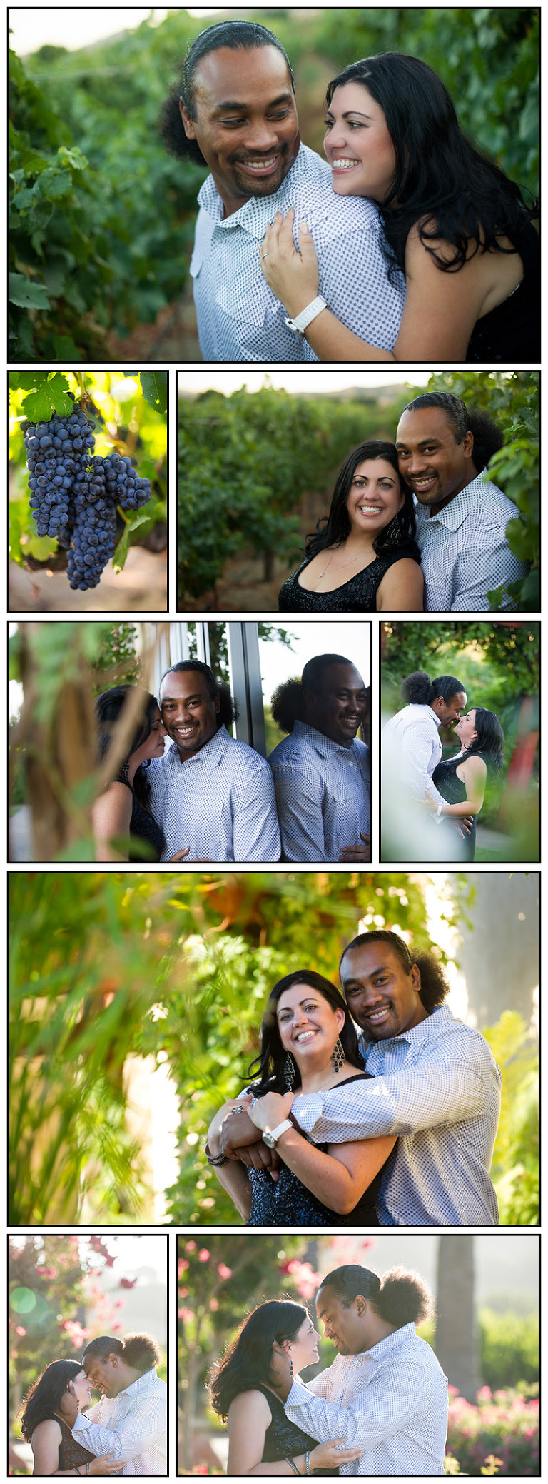 Mitchell Katz Winery engagement photo shoot in Pleasanton with Andre and Sara 1 