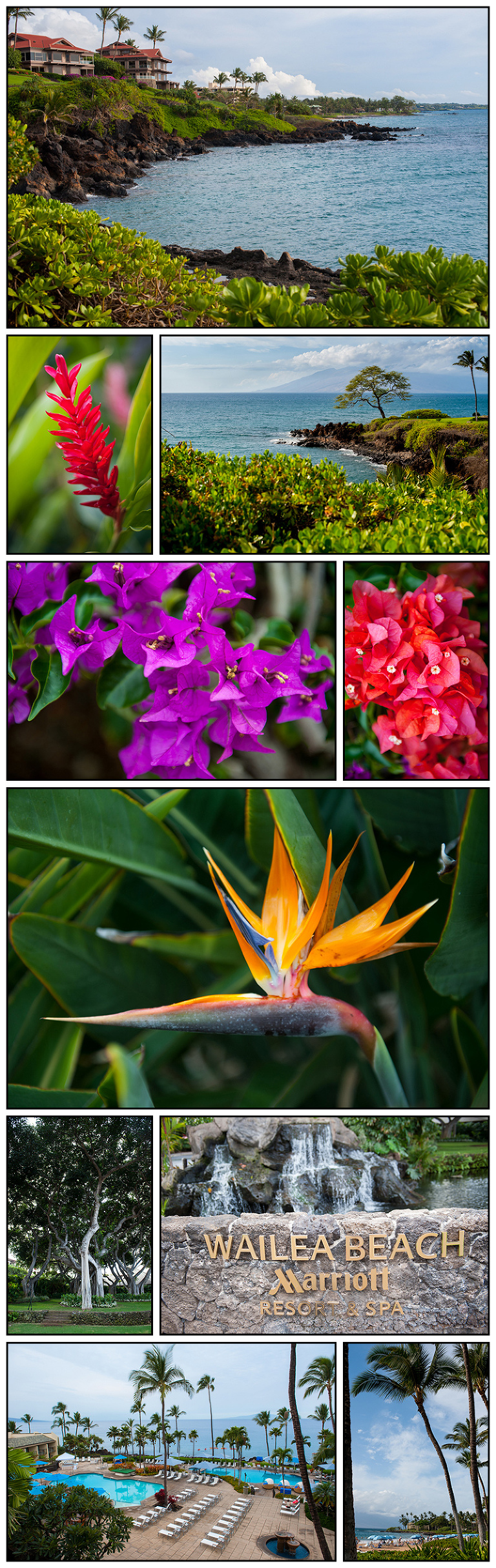 Destination Wedding in Maui Hawaii at Wailea Marriott