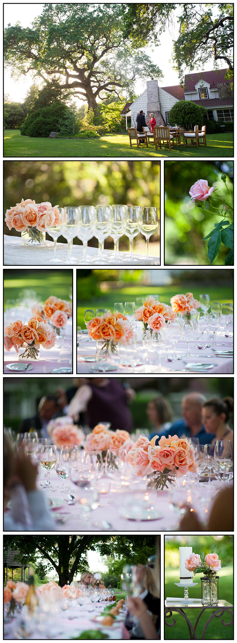 Napa Wedding Details