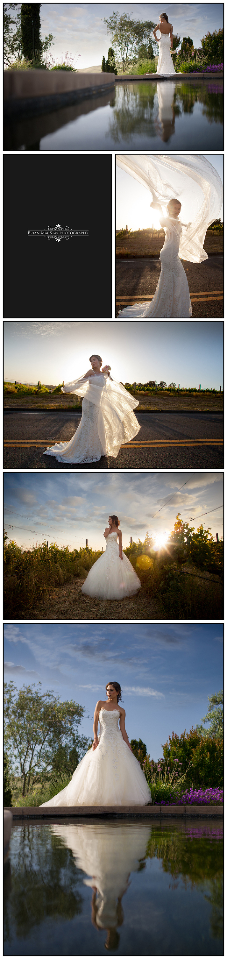 La Soie Bridal Wedding Shoot in Napa 2