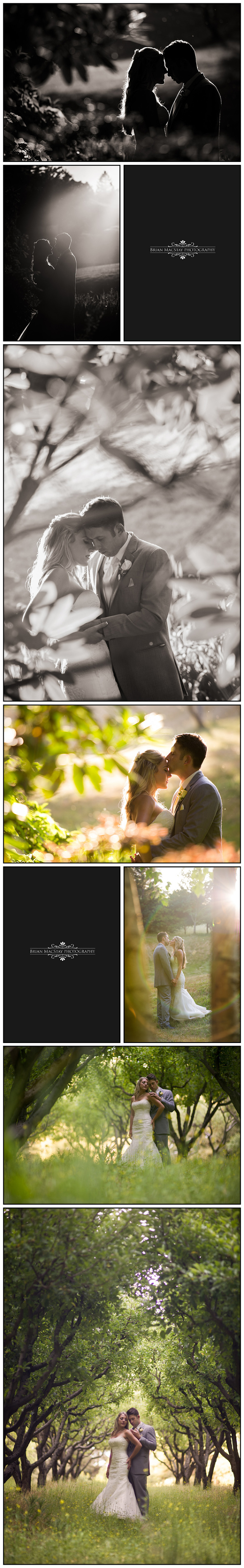 Nestldown Wedding Photogrpahy 11