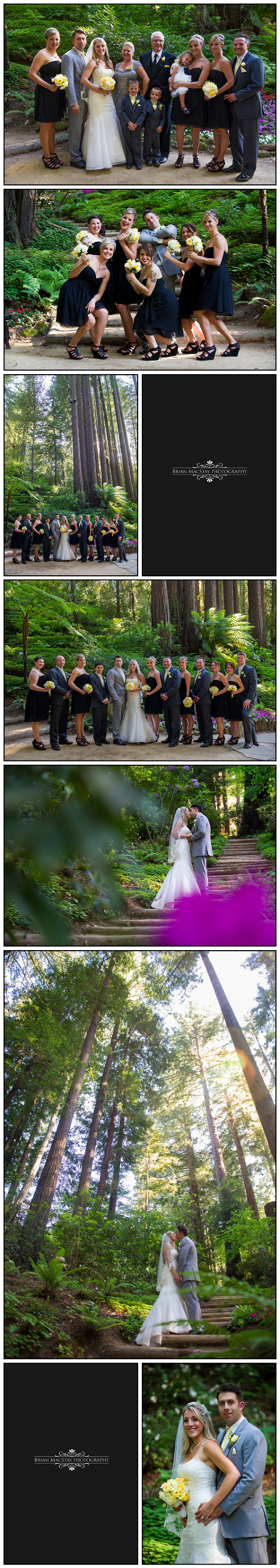 Nestldown Wedding Photogrpahy 7