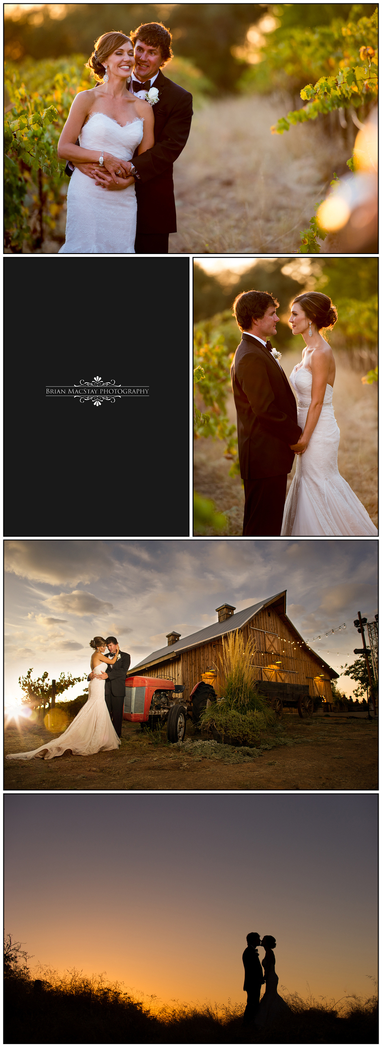 Amador Cellers Wedding-4